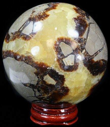 Polished Septarian Sphere - With Stand #43846